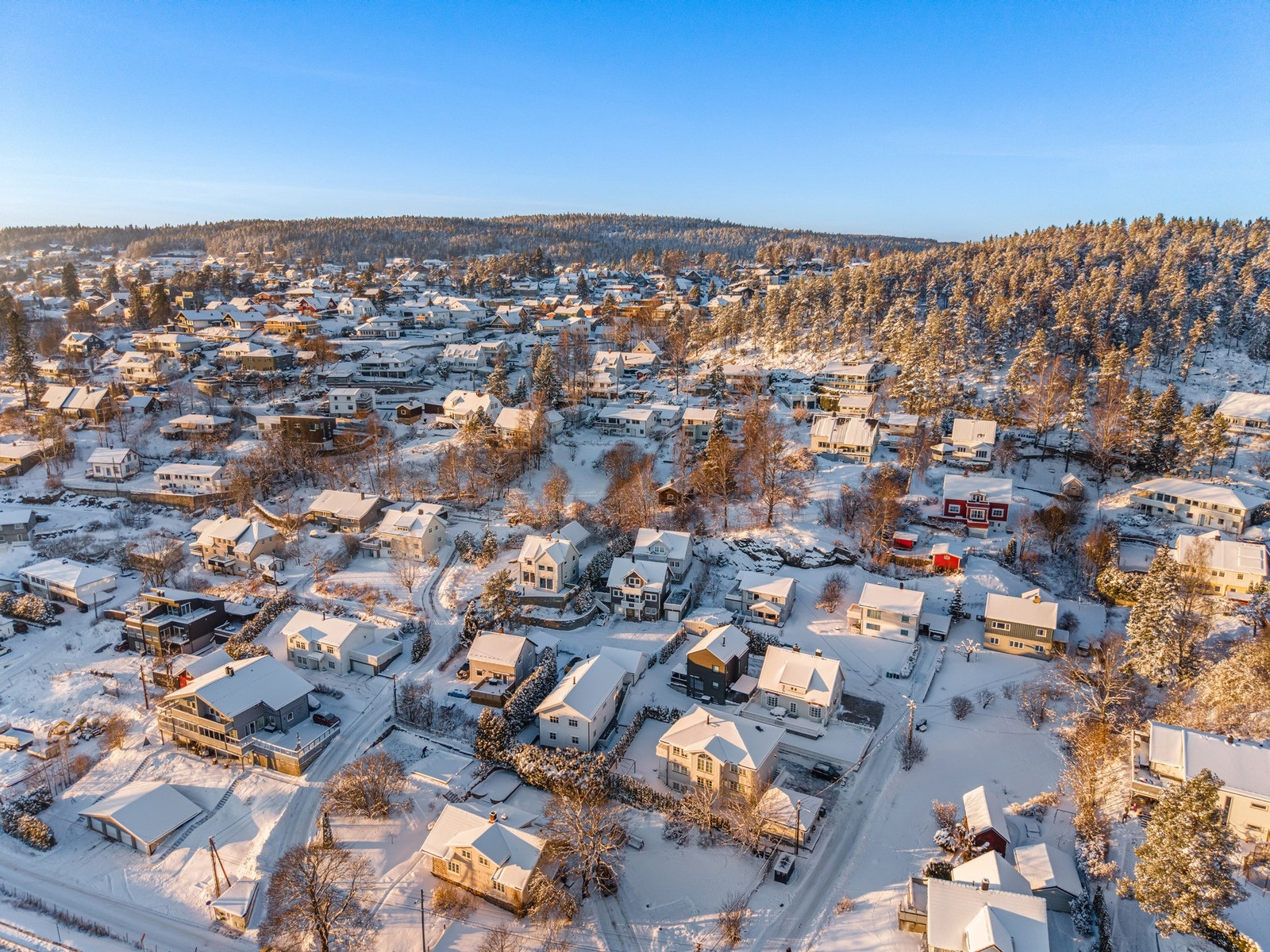 Velkommen til visning! Galleribilde