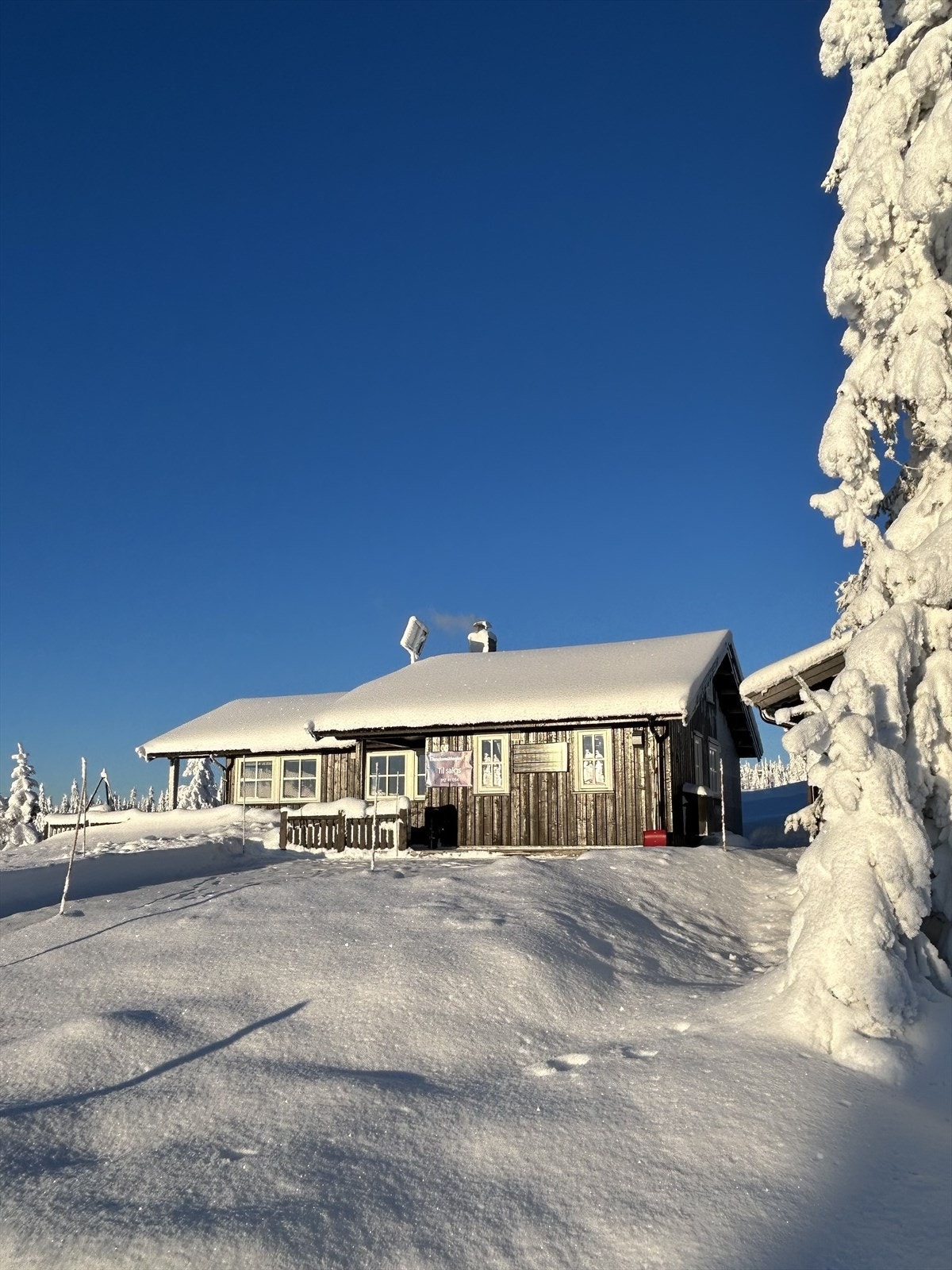 Snøsikkert! Galleribilde