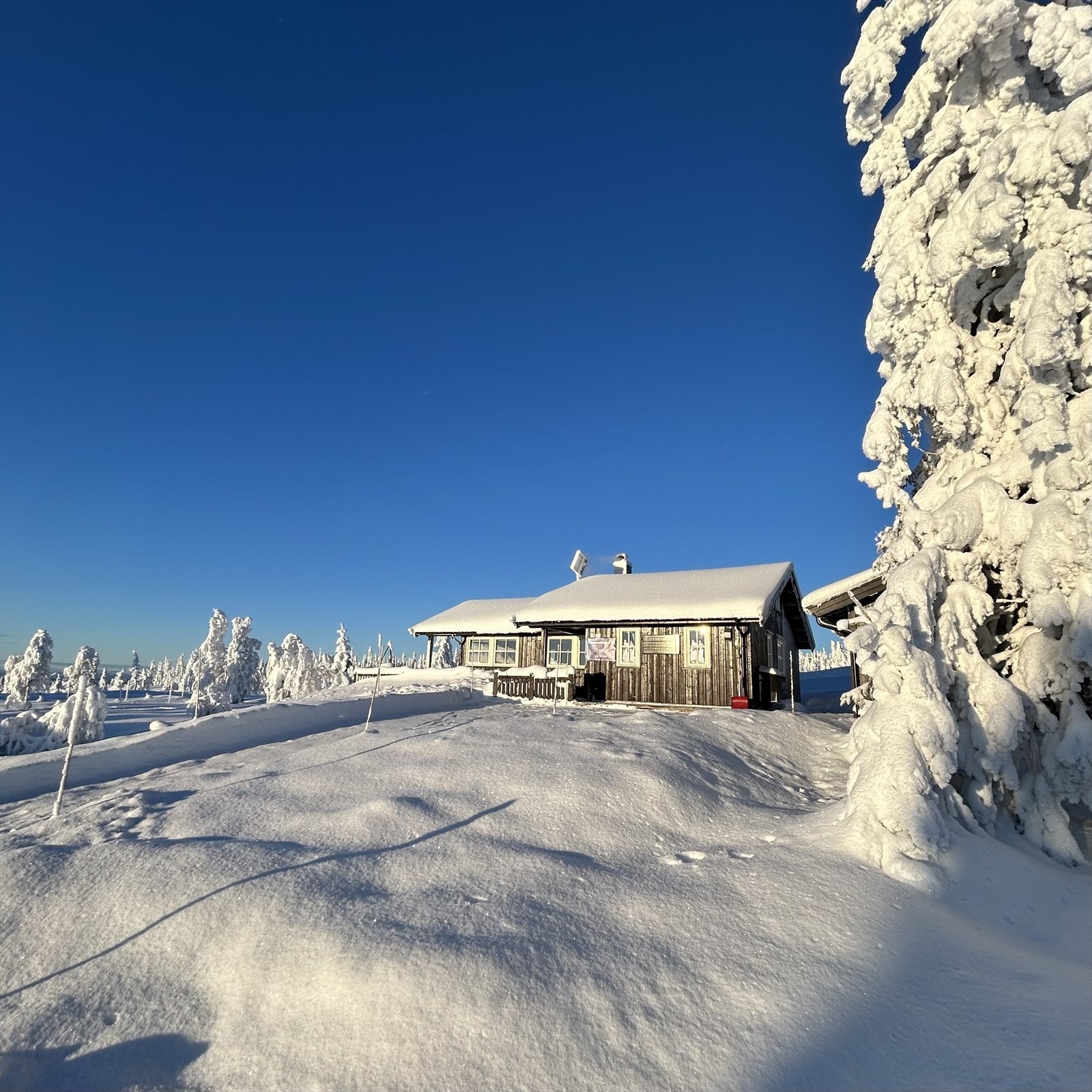 Innholdsrik og praktisk hytte oppført i 2017/2018. Galleribilde