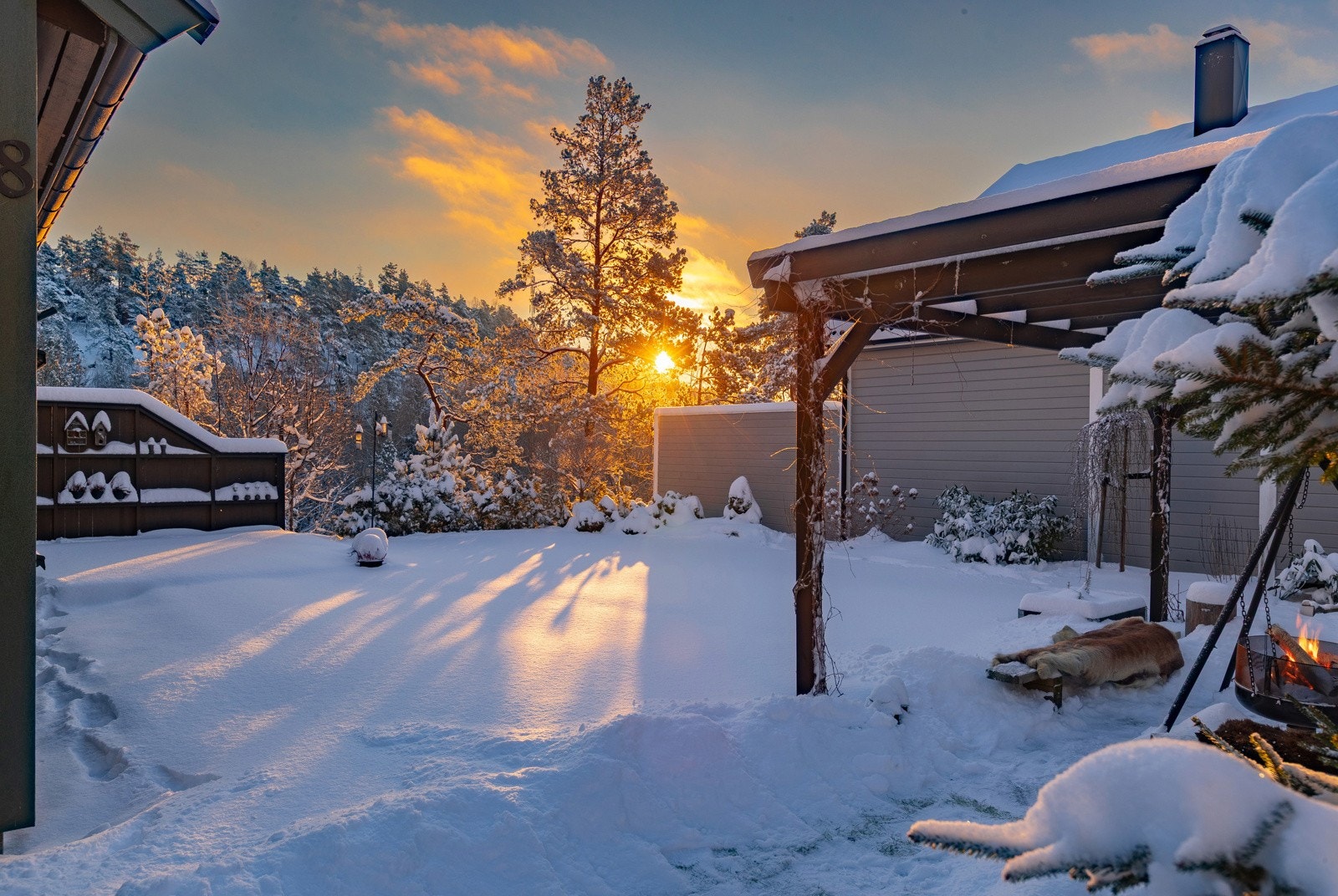 Gode solforhold Galleribilde