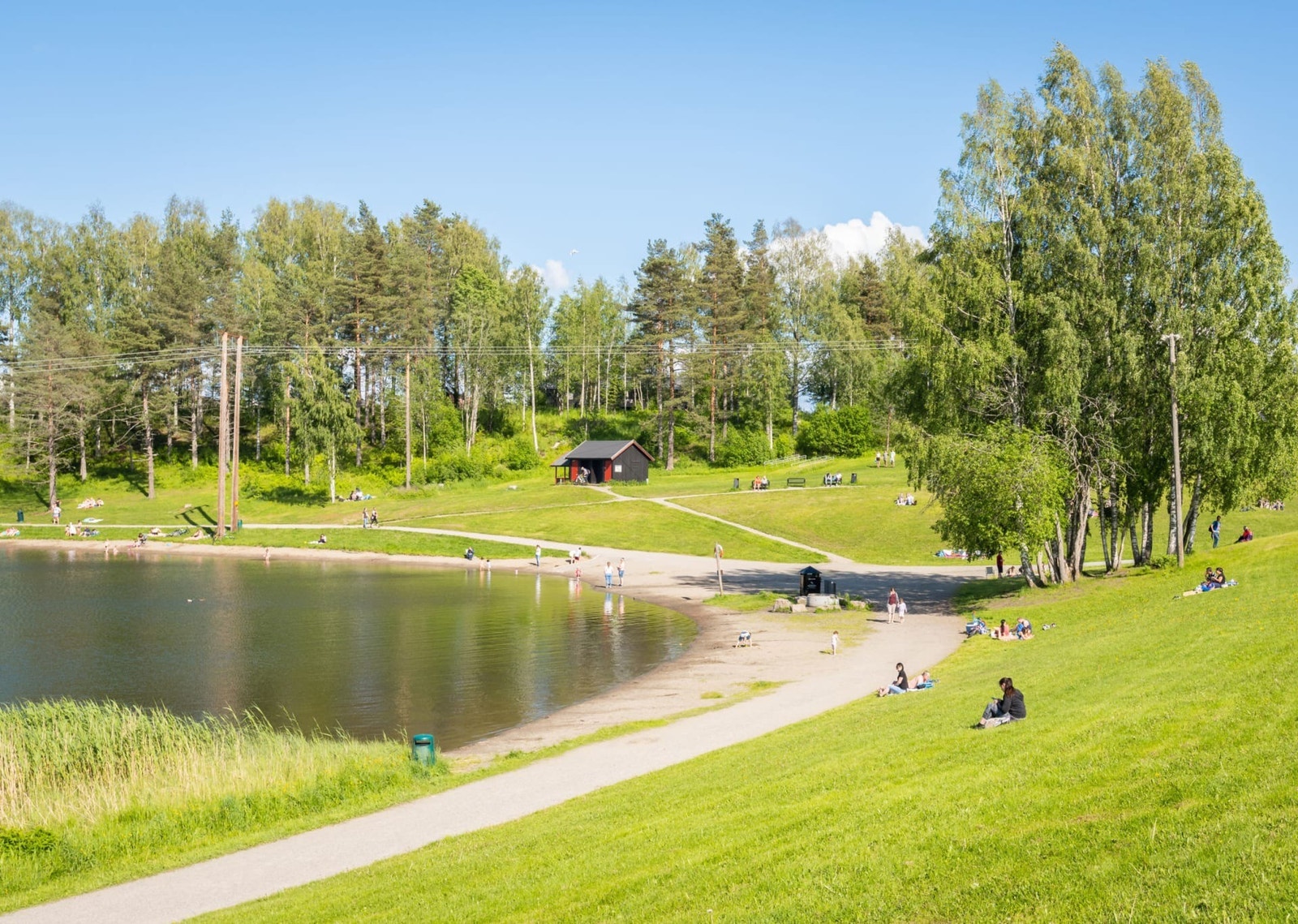 Nærområde Galleribilde