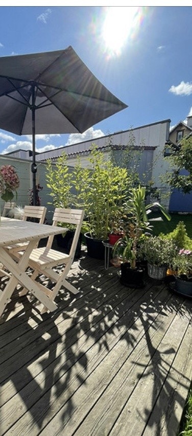 Bilde fra hage Galleribilde