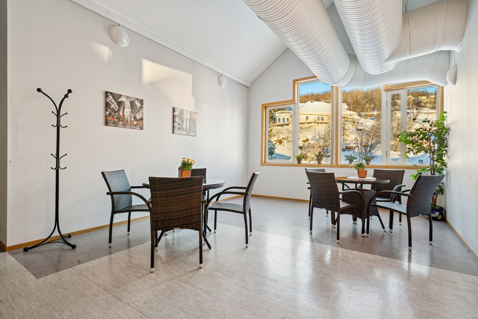 Fellesareal. Galleribilde