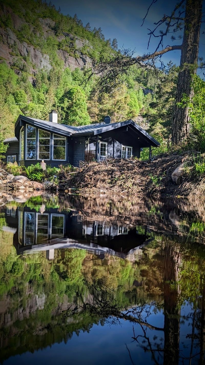 Sommerbilde - Selgers private bilder Galleribilde