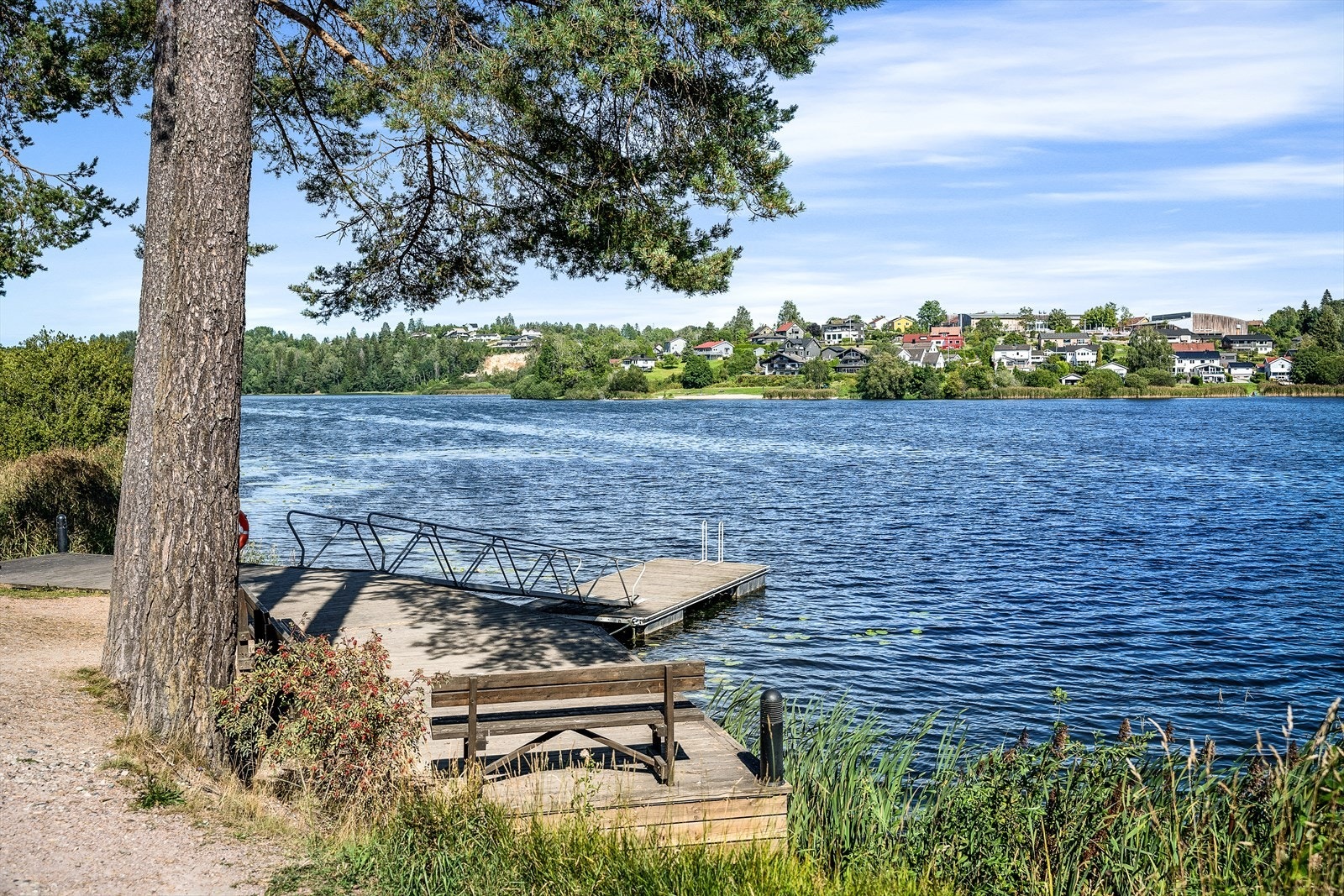 På feltet er det badebrygge der du kan ta et forfriskende bad i Gjellumvannet. Galleribilde