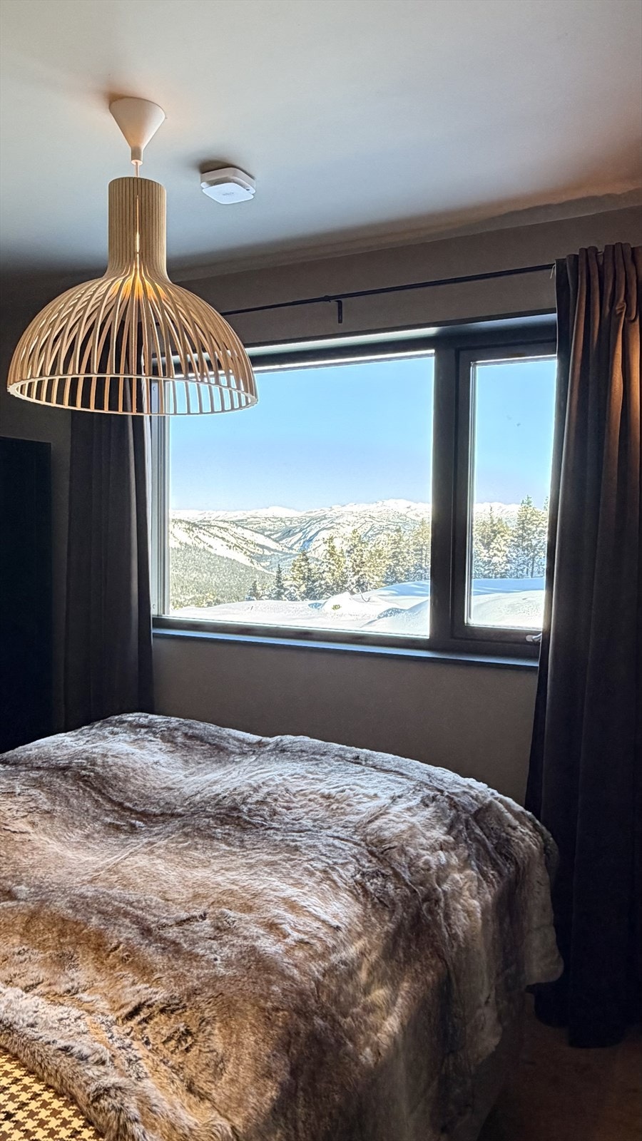 Selgers fotografi Galleribilde