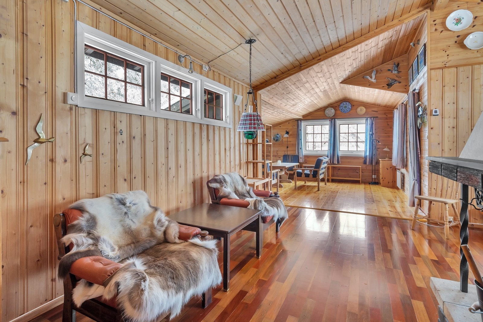 Finn roen på hytta... Galleribilde