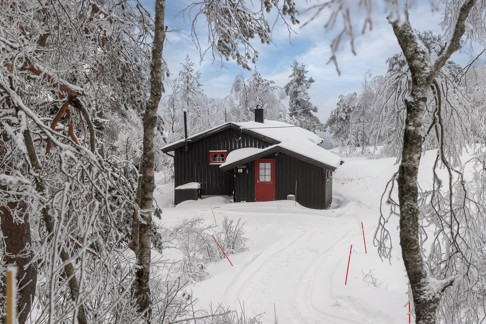 Her kan man høre skogens ro... Galleribilde