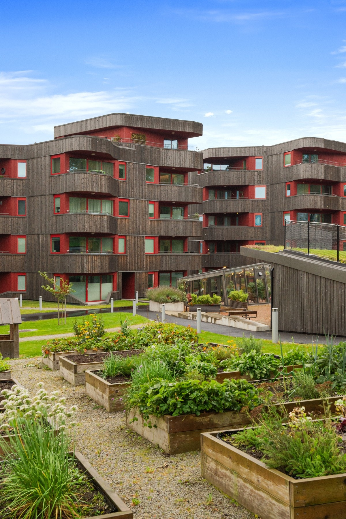 Det er også felles urtekasser utenfor. Galleribilde