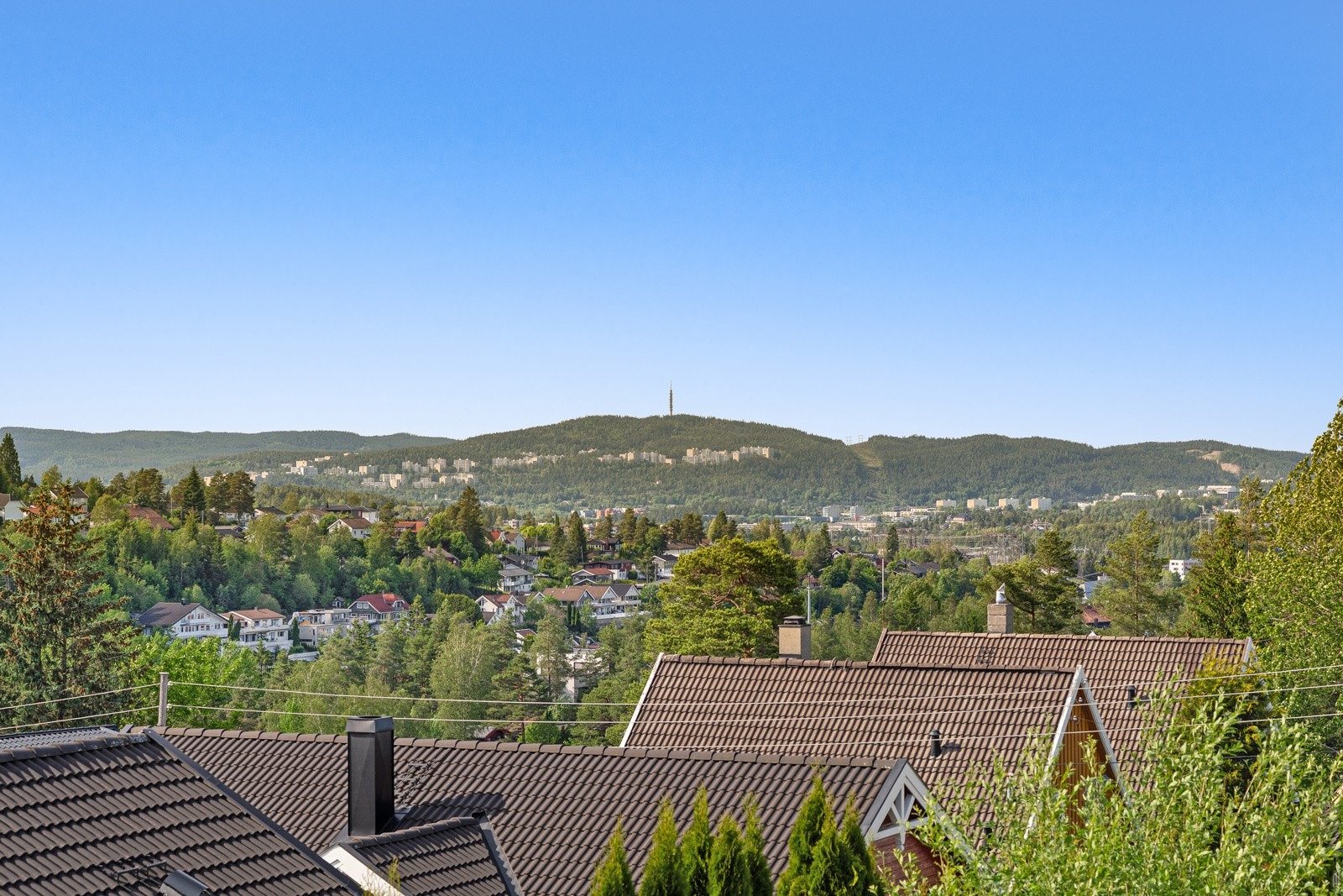 Nydelig utsikt over nærområdet. Galleribilde