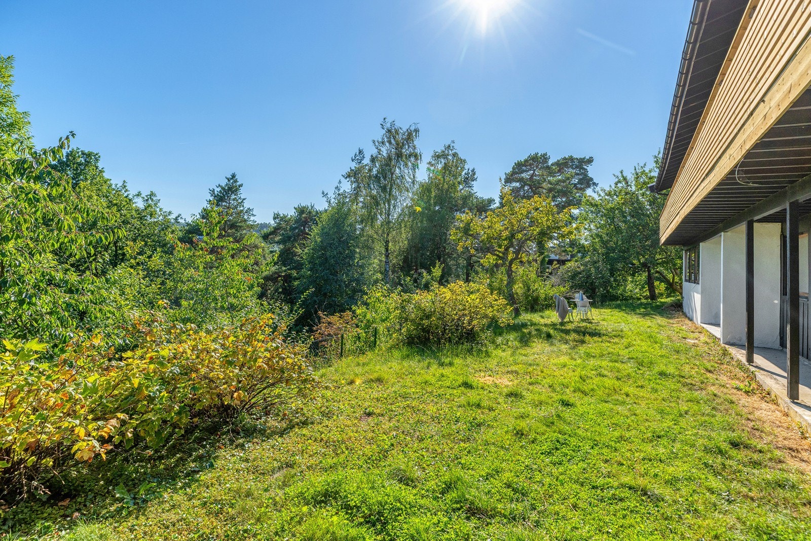 Her kan du nyte dagene i den "grønne lungen" Galleribilde