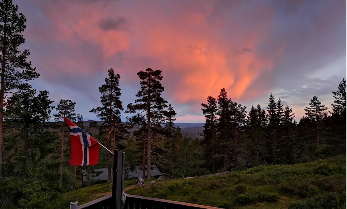 - Privat bilde - Galleribilde