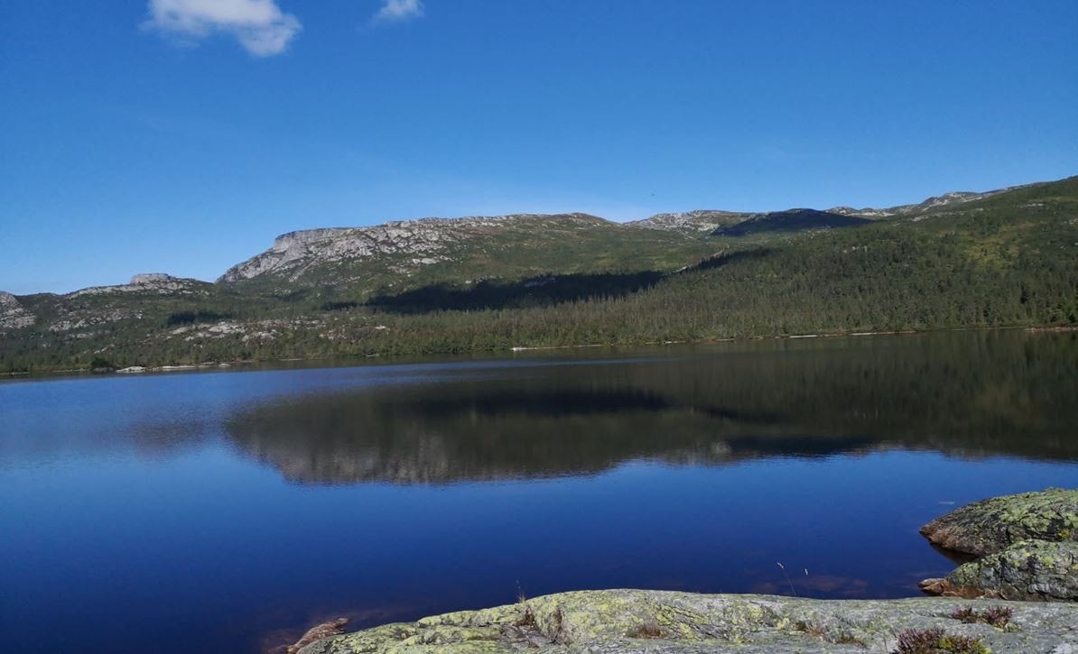 - Privat bilde - Galleribilde