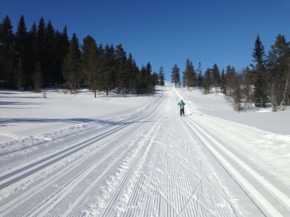 - Privat bilde - Galleribilde