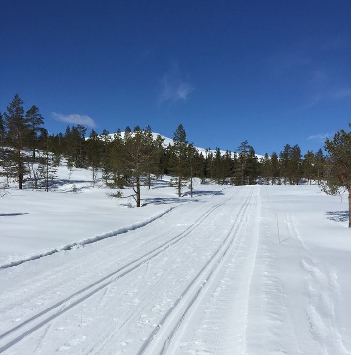 - Privat bilde - Galleribilde