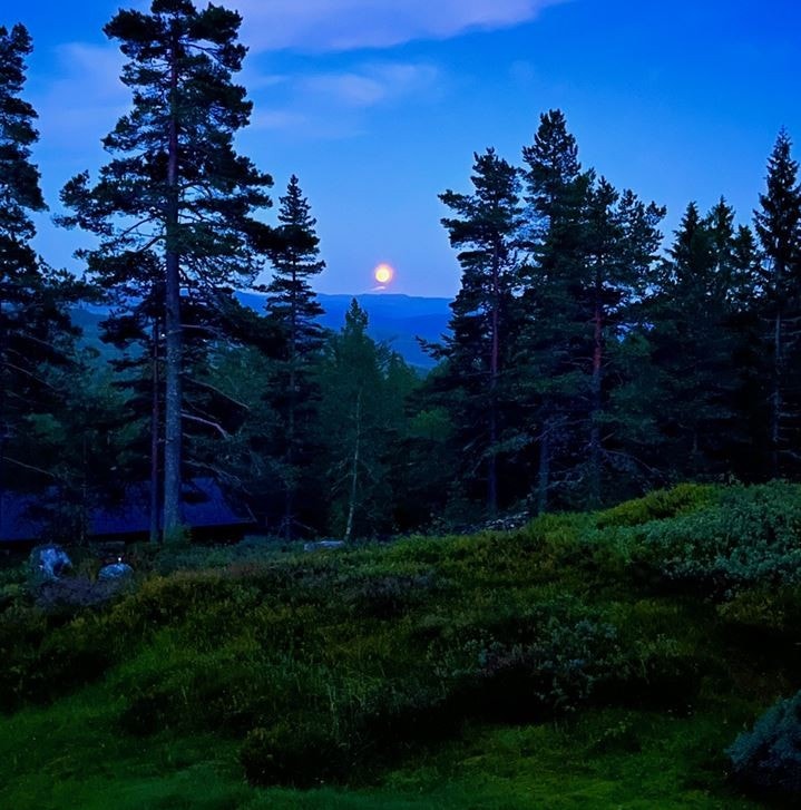 - Privat bilde - Galleribilde