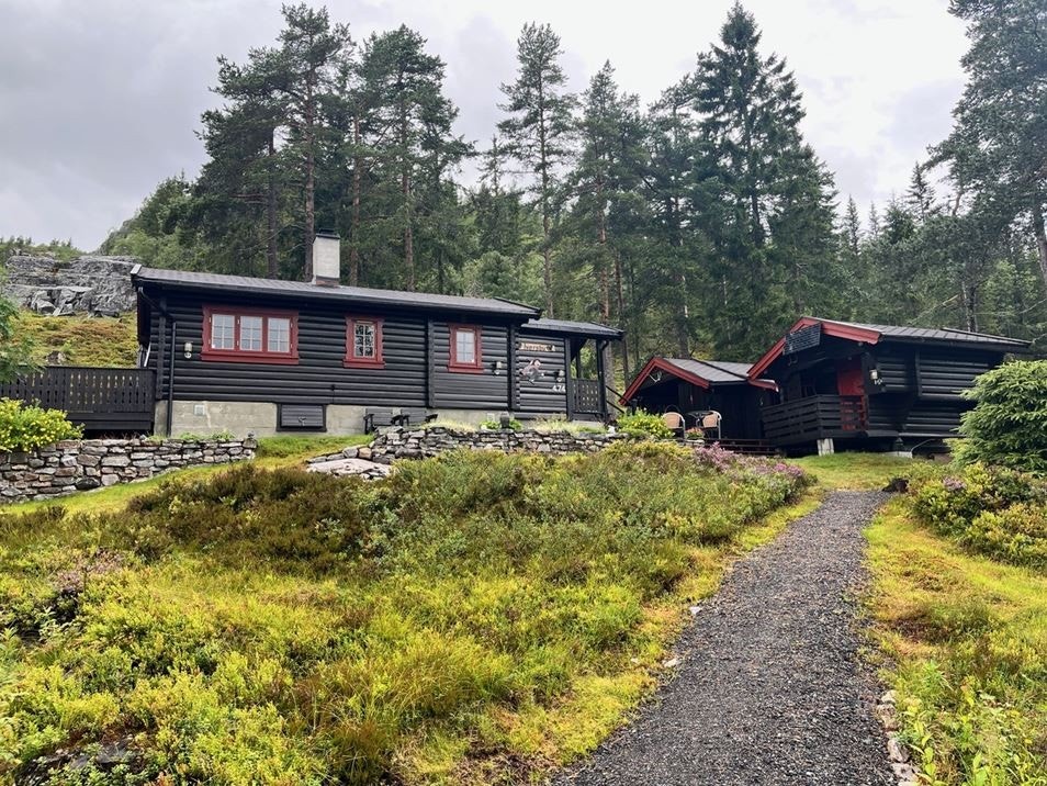 - Privat bilde - Galleribilde