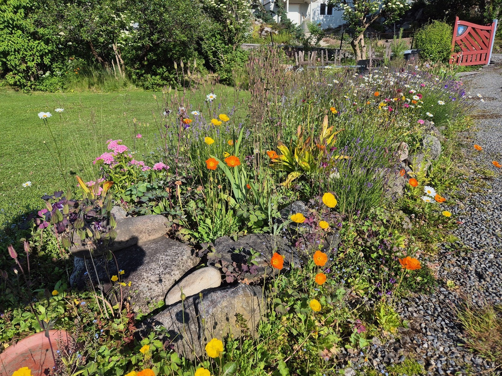 Sommeridyll (privat foto) Galleribilde