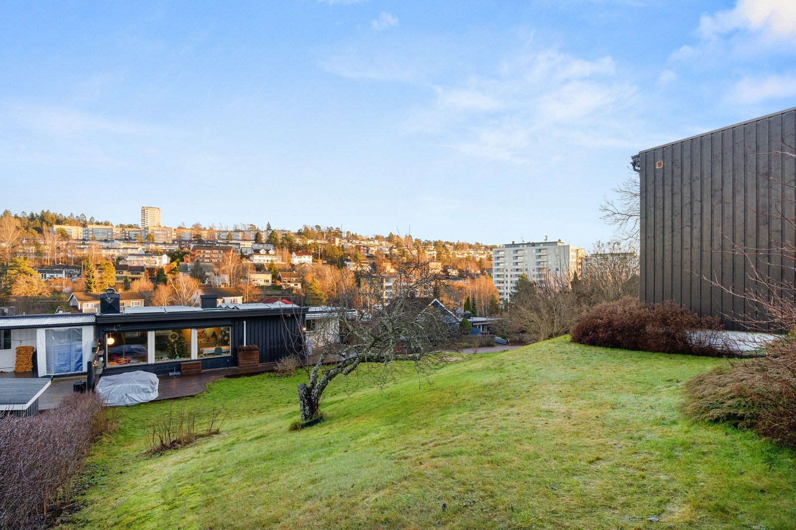 Fin boltreplass i hagen. Galleribilde