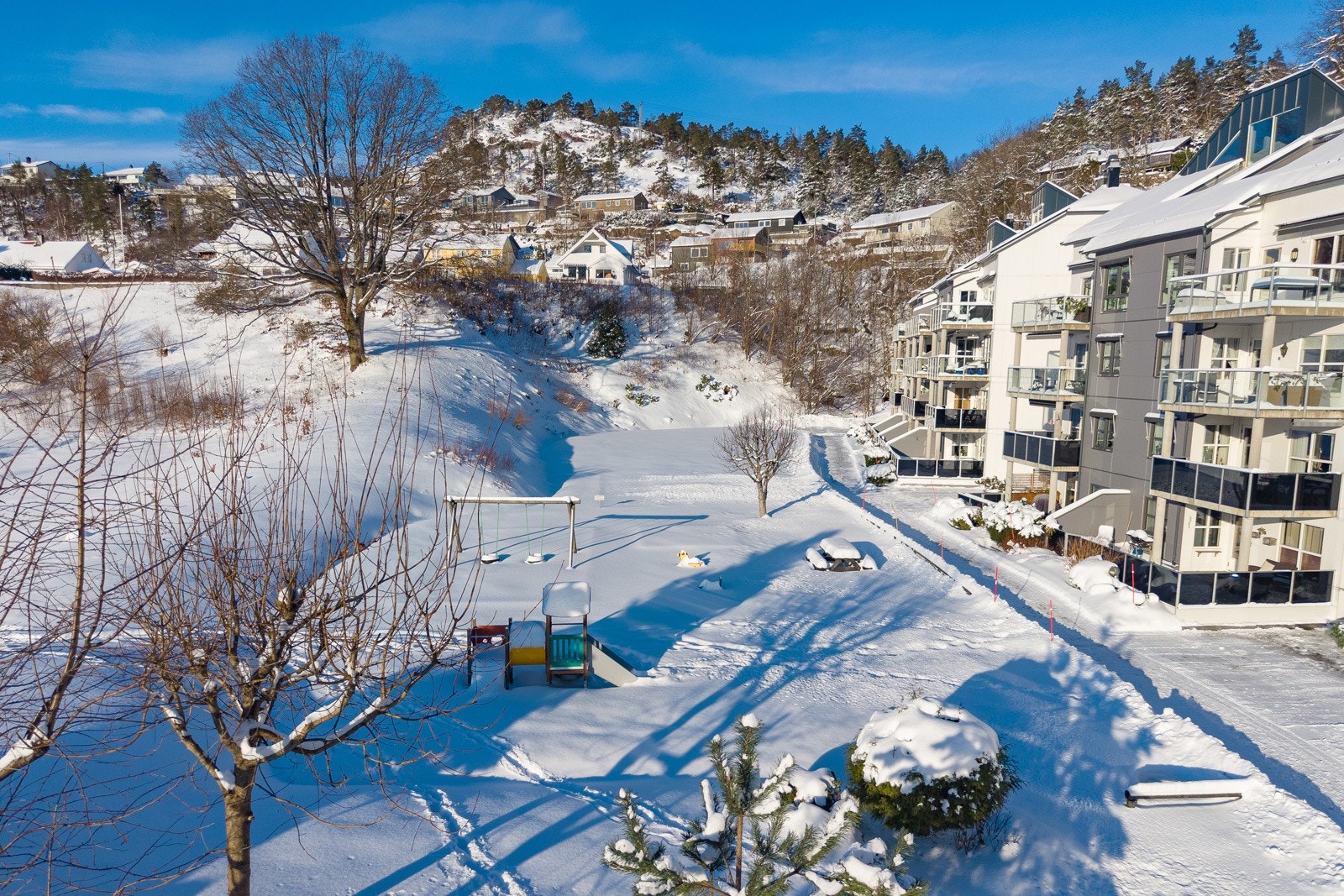 Pene fellesasreal. Galleribilde