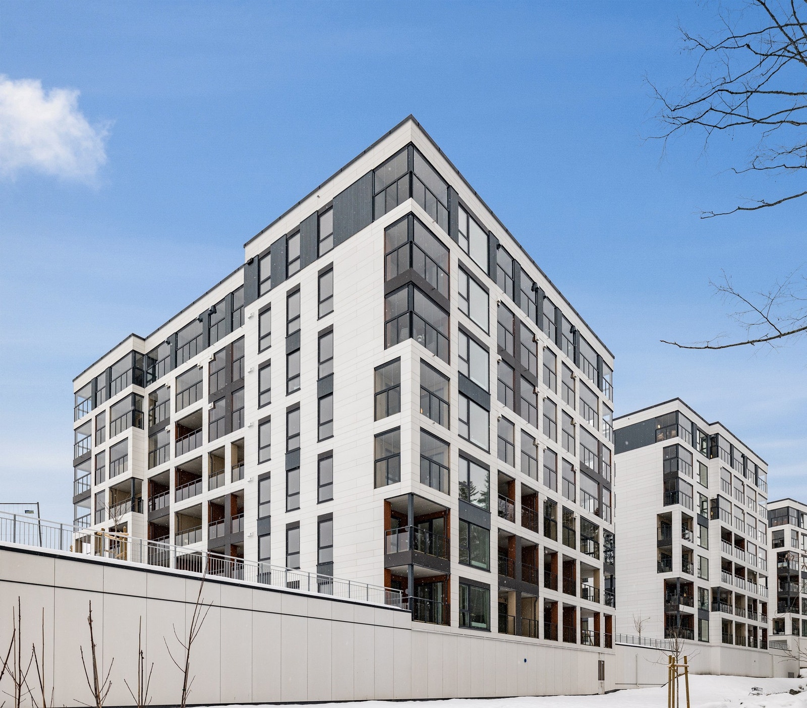 Vestskogen - fasade Galleribilde