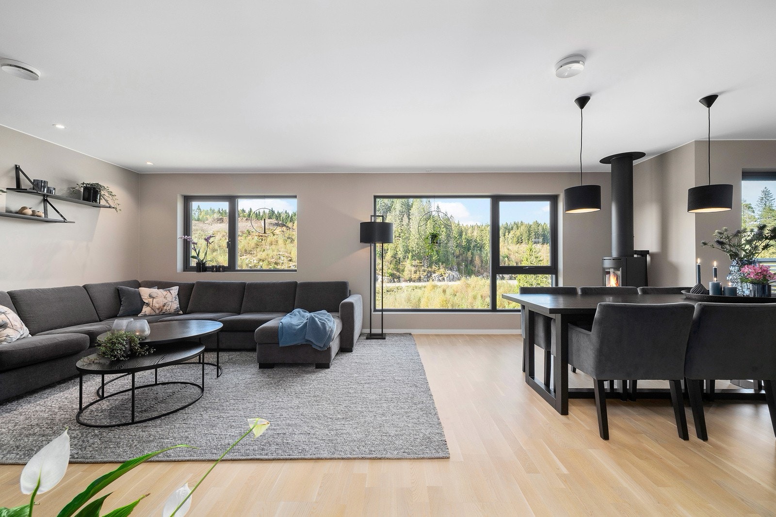 Sosial løsning med stue, spisestue og kjøkken i åpent rom. Screens på vinduene i stuen Galleribilde