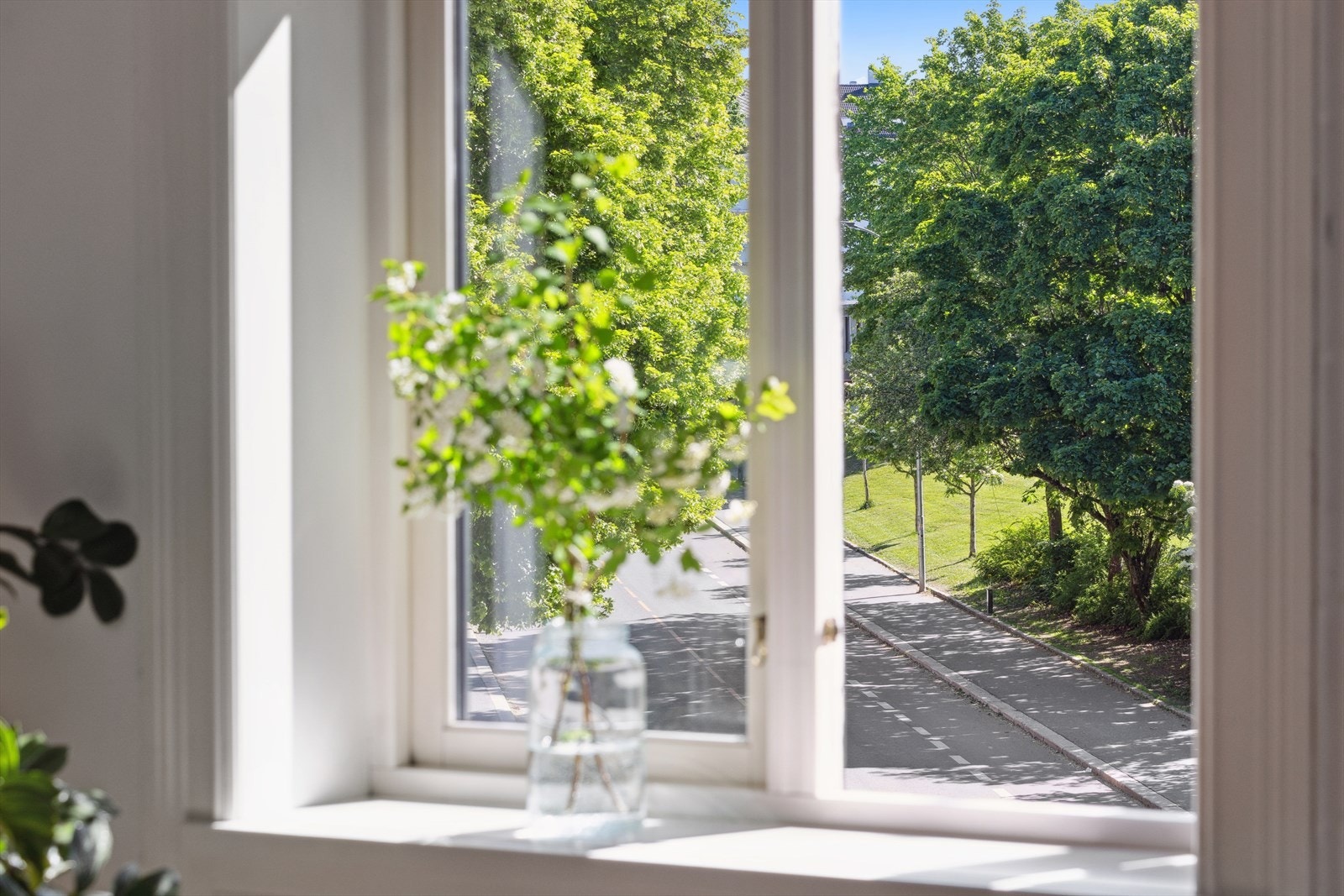 Utsikt mot Idioten park Galleribilde