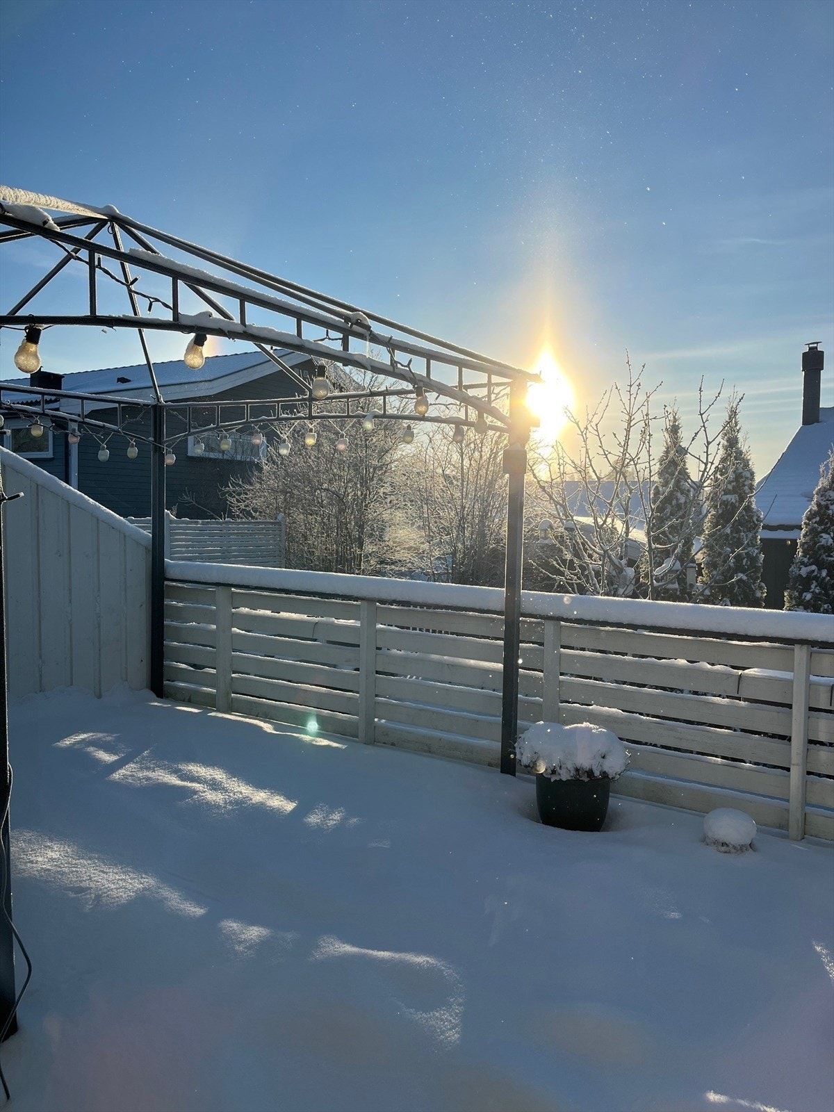 Selgers bilde. Galleribilde