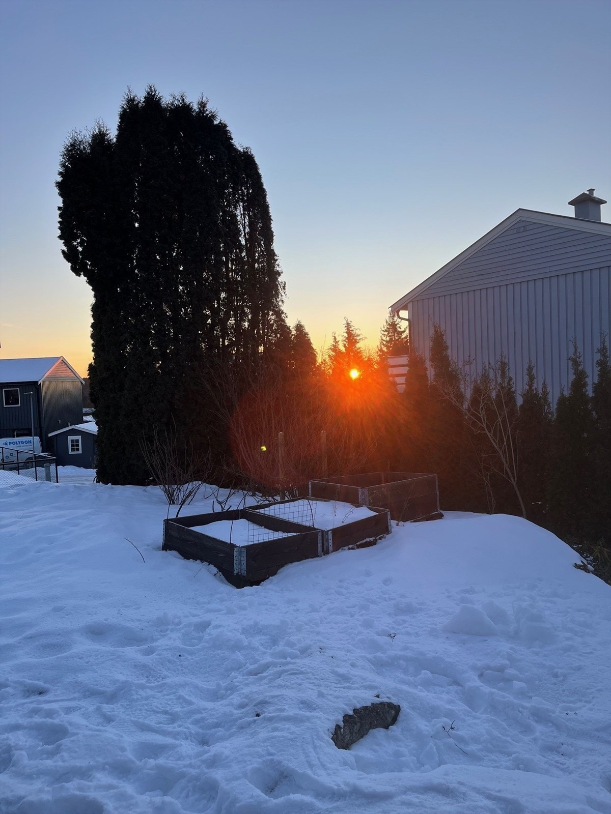 Selgers bilde. Galleribilde