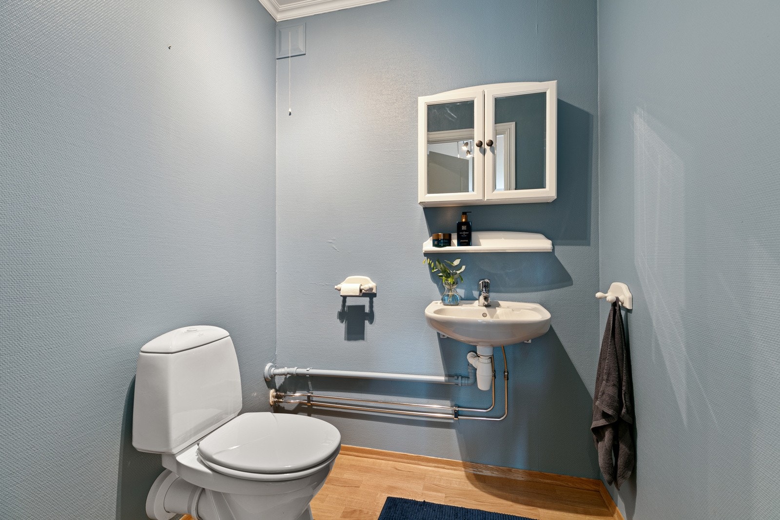 Toalett med inngang fra stuen Galleribilde