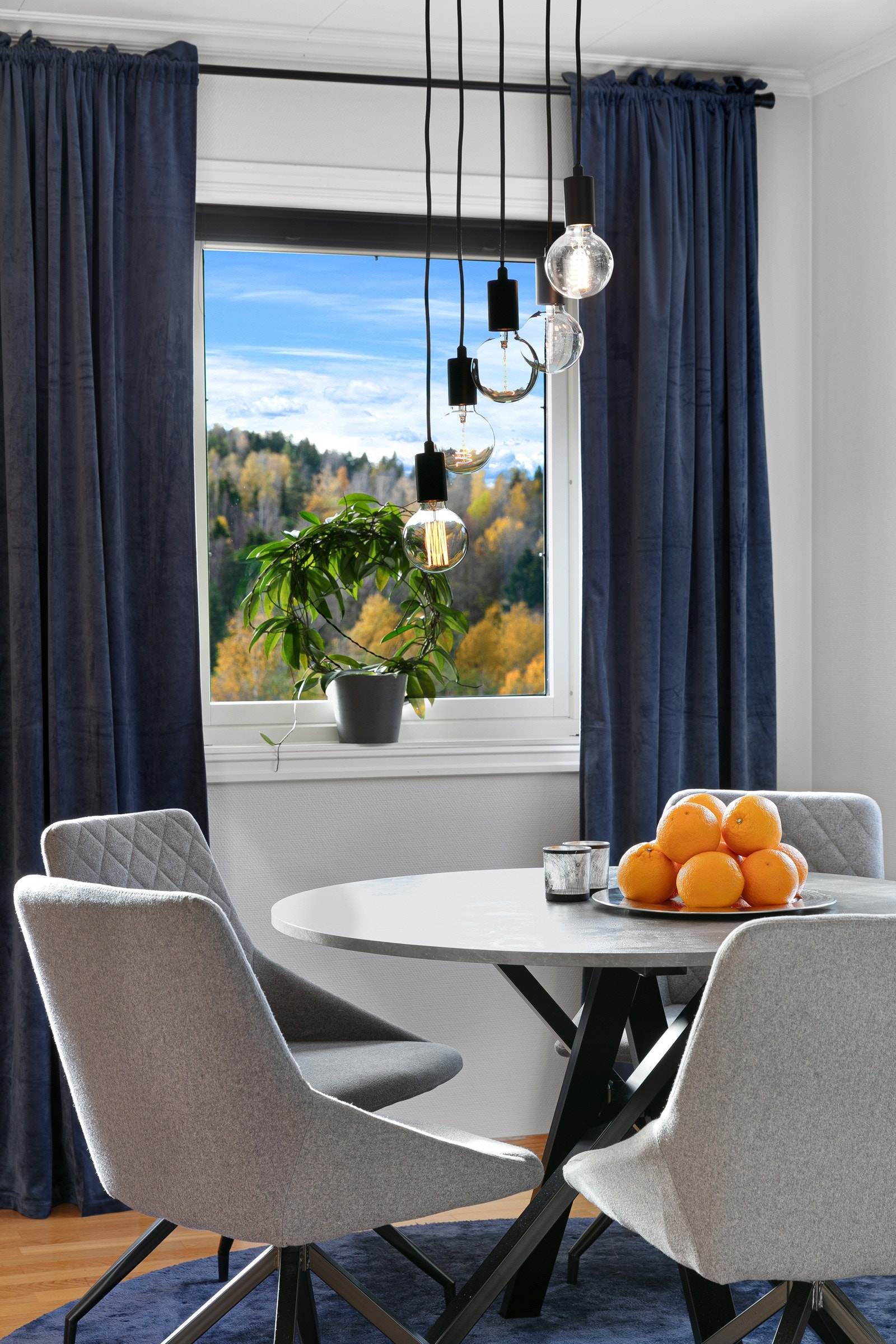 51detalj Galleribilde