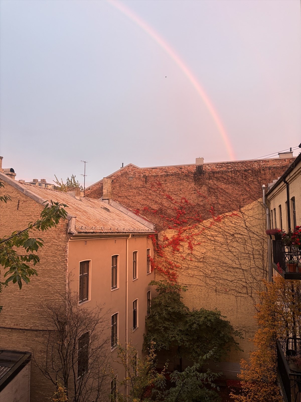 Trivelig utsyn fra balkong mot rolig og lun bakgård. Galleribilde