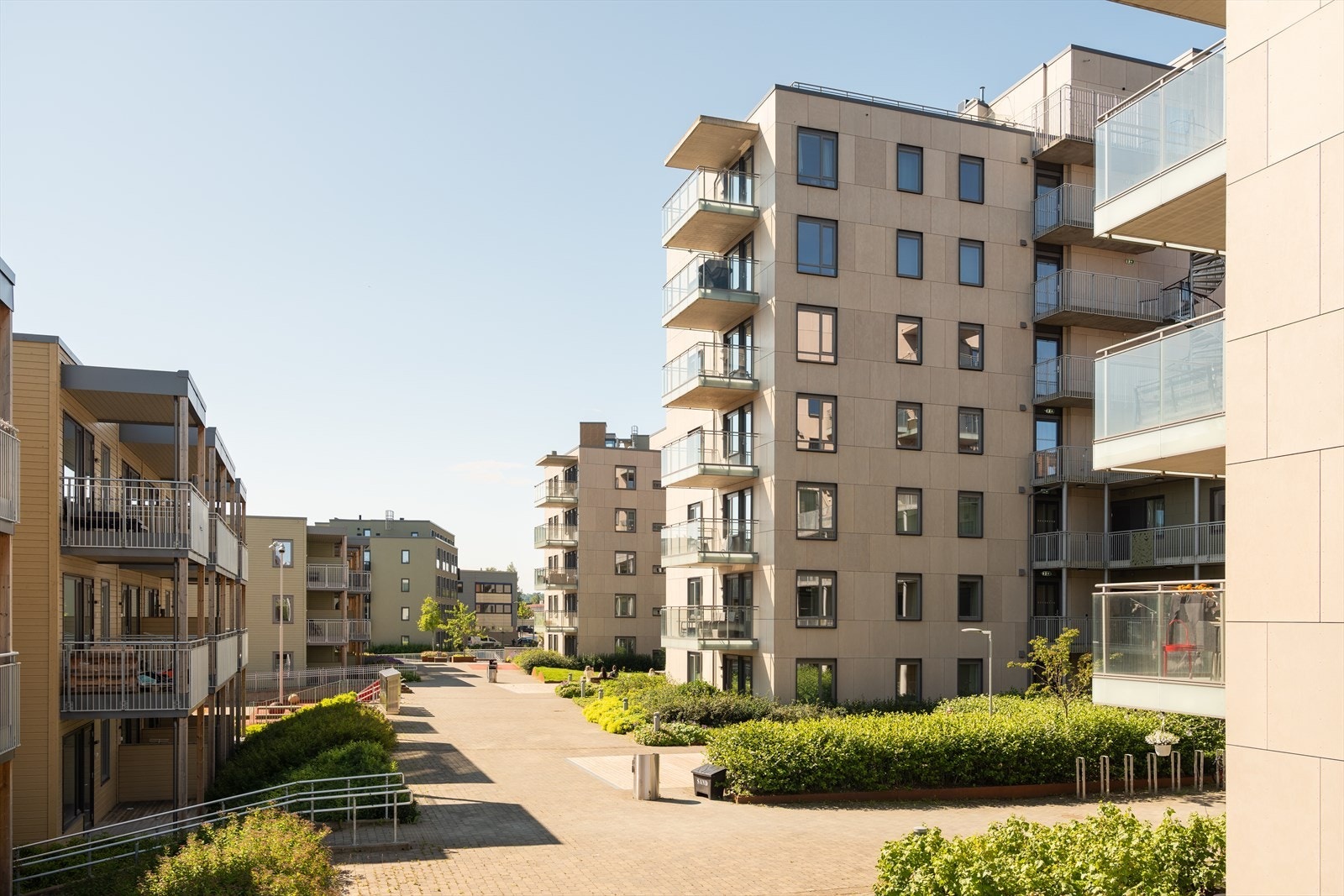 Sommerbilder av boområdet. Galleribilde