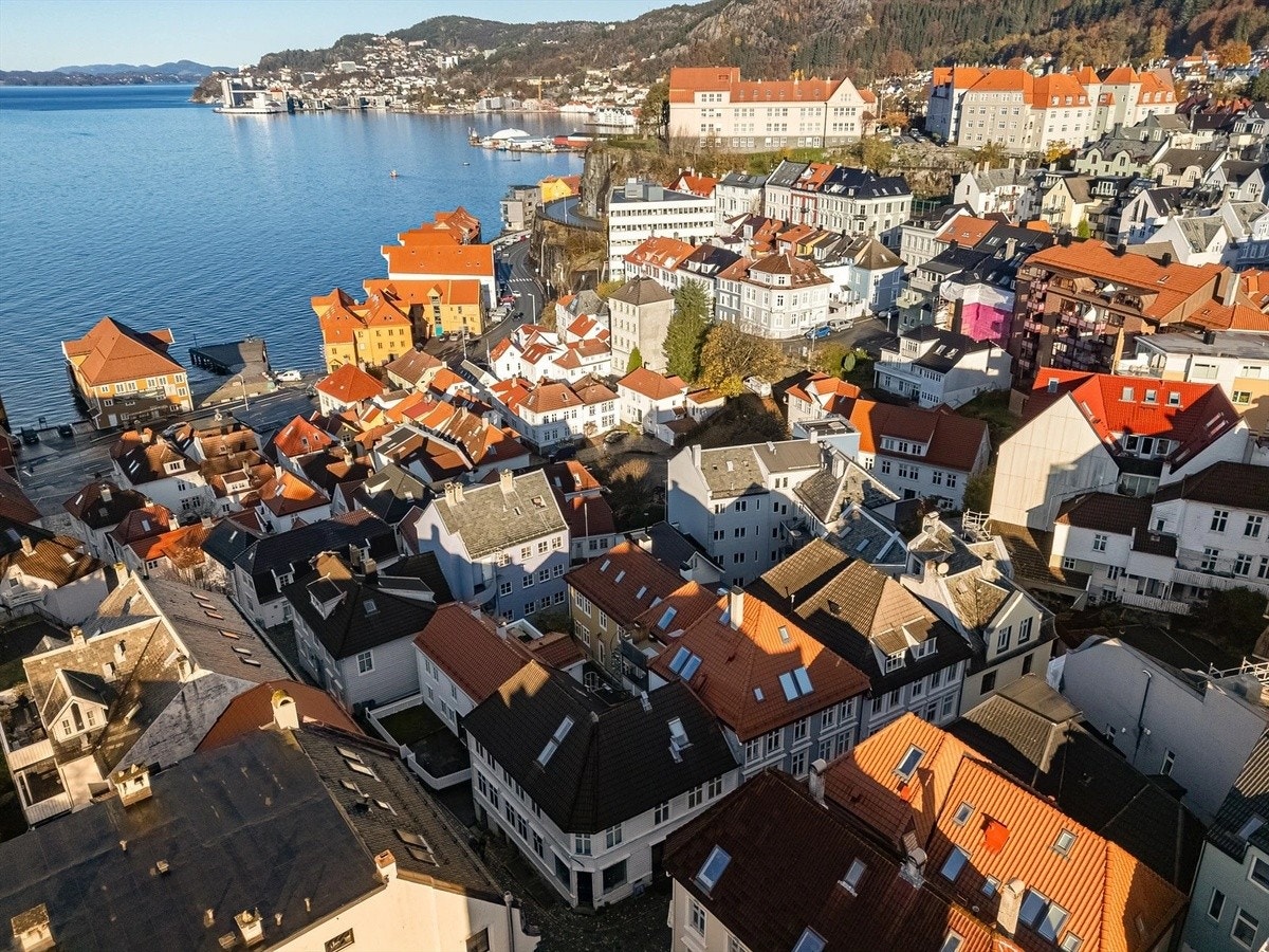 Nærområde Galleribilde