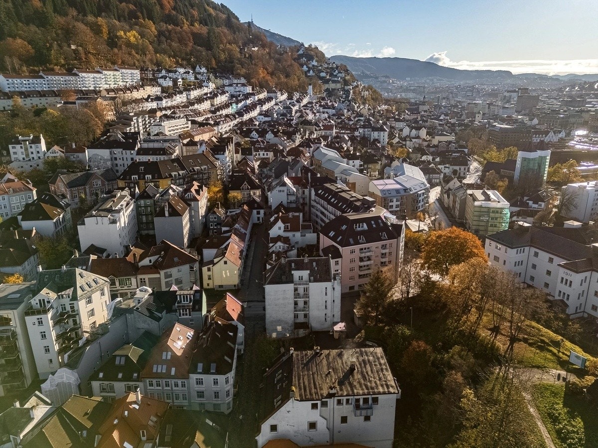 Nærområde Galleribilde