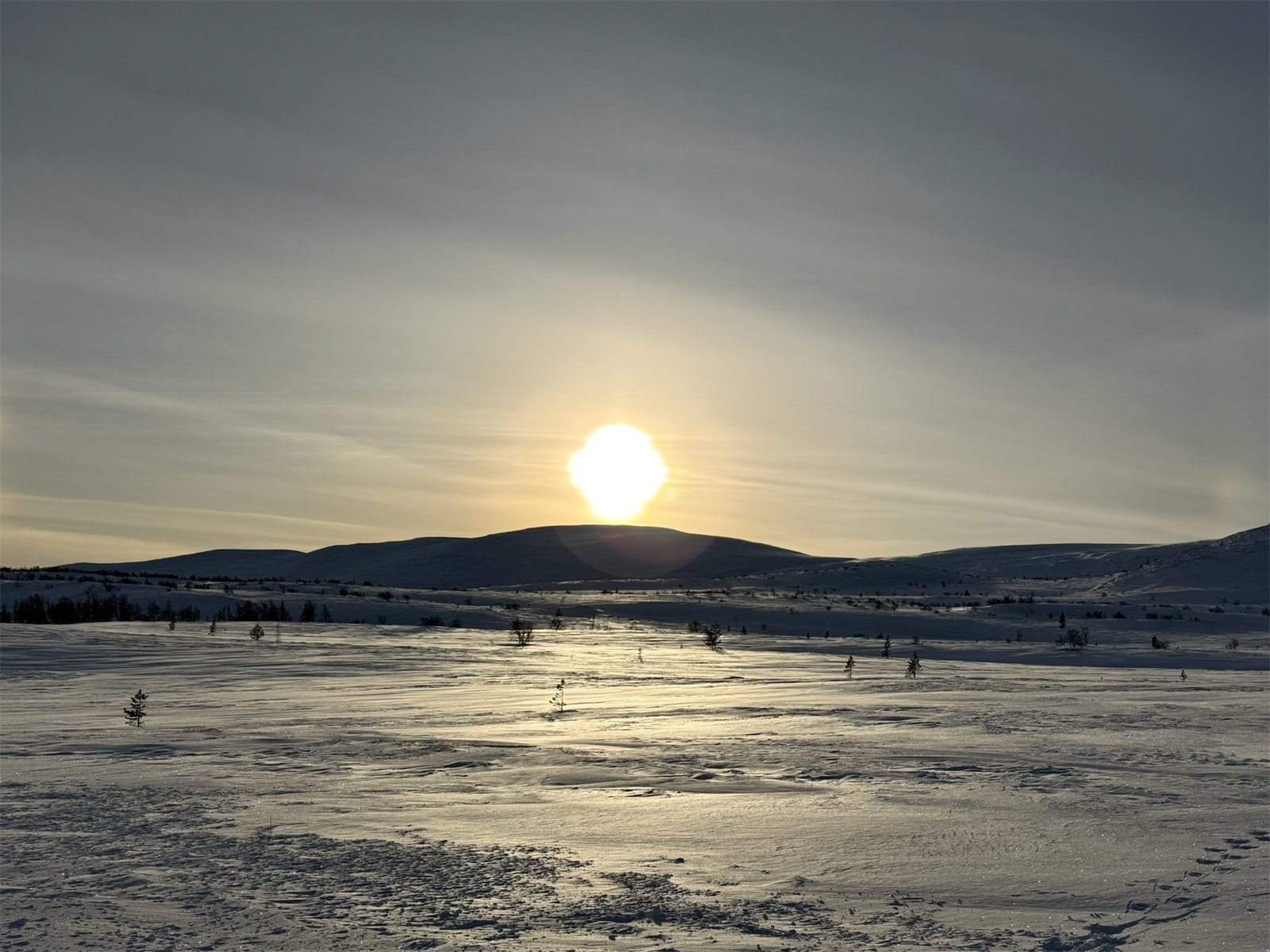 Selgers egne bilder Galleribilde