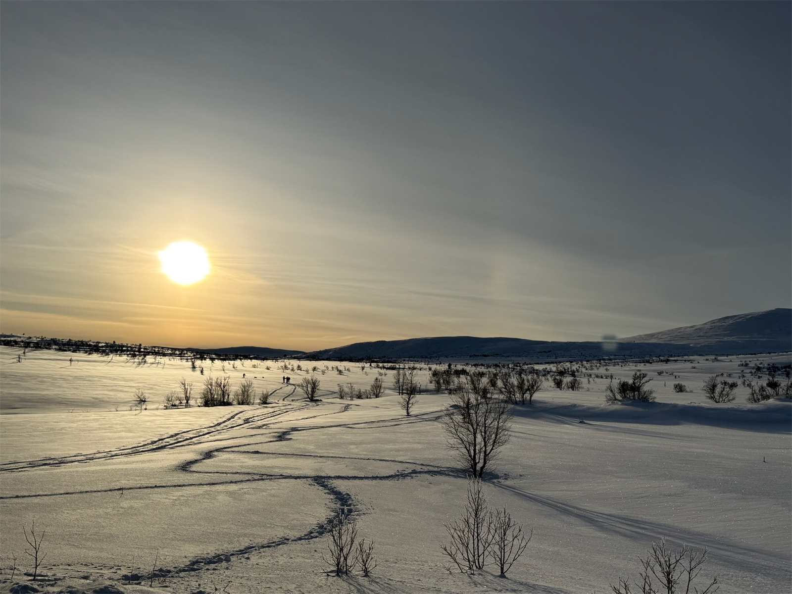 Selgers egne vinterbilder Galleribilde