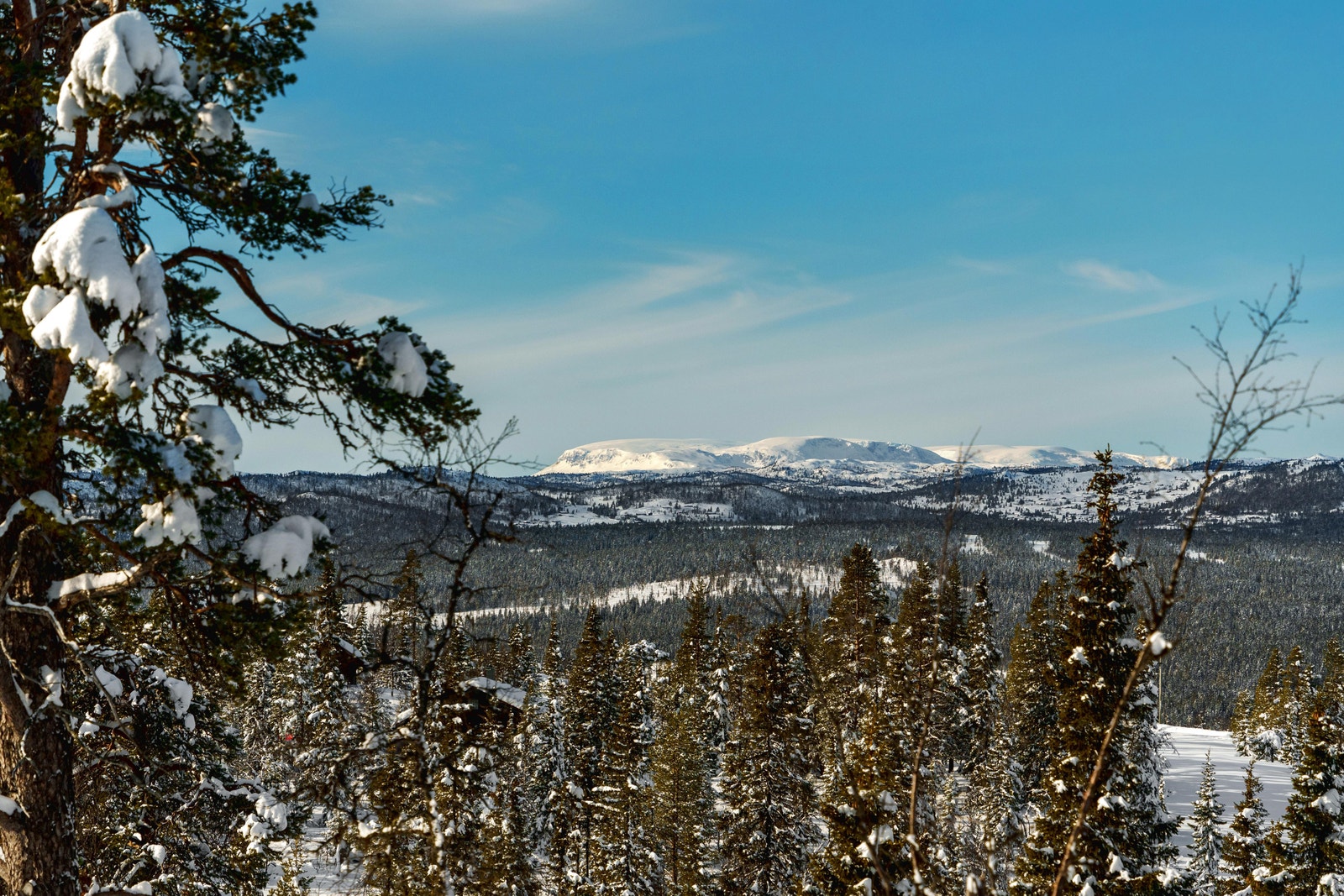 Utsikt mot Hallingskarvet Galleribilde