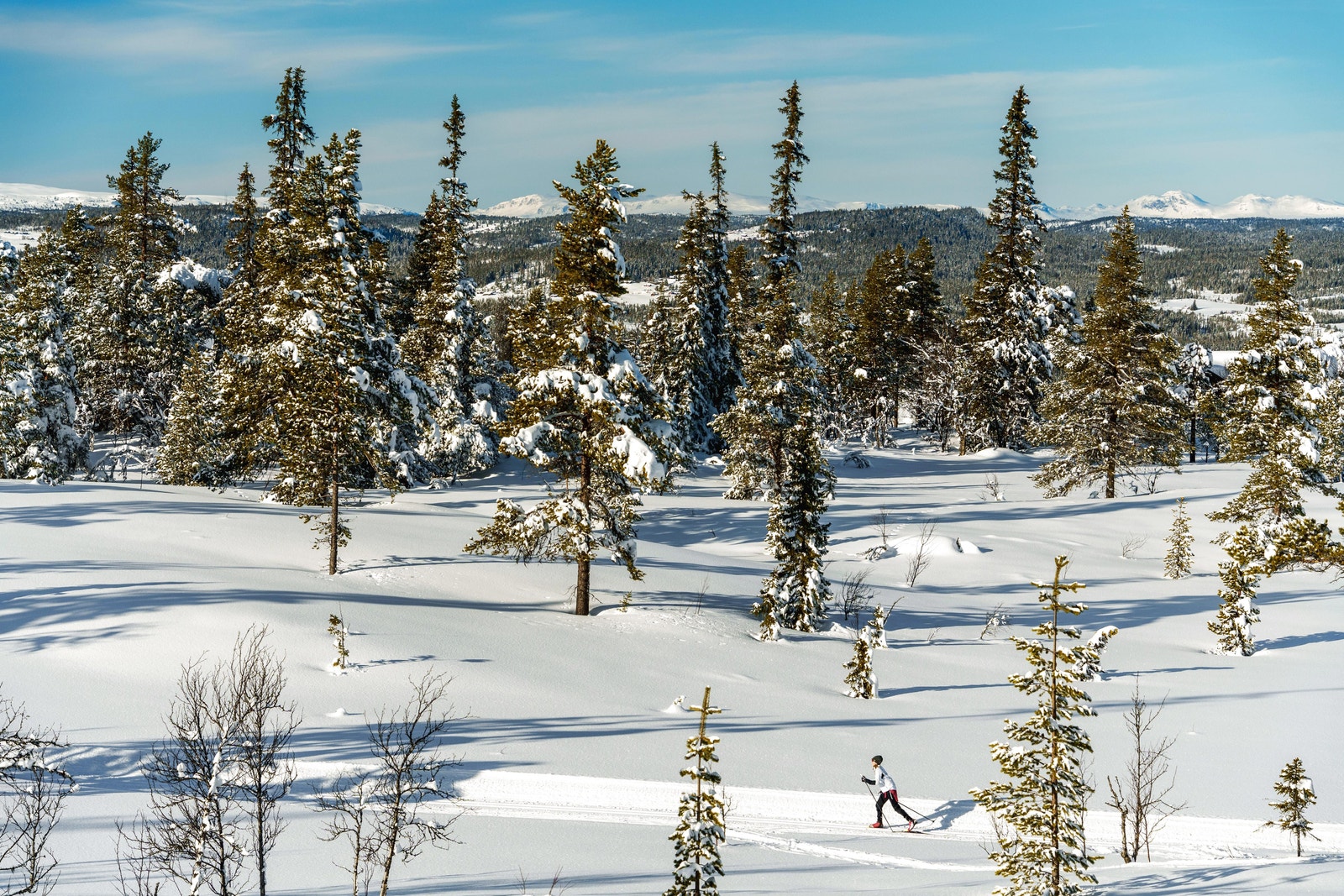 Skiløype på nedsiden av tomten Galleribilde