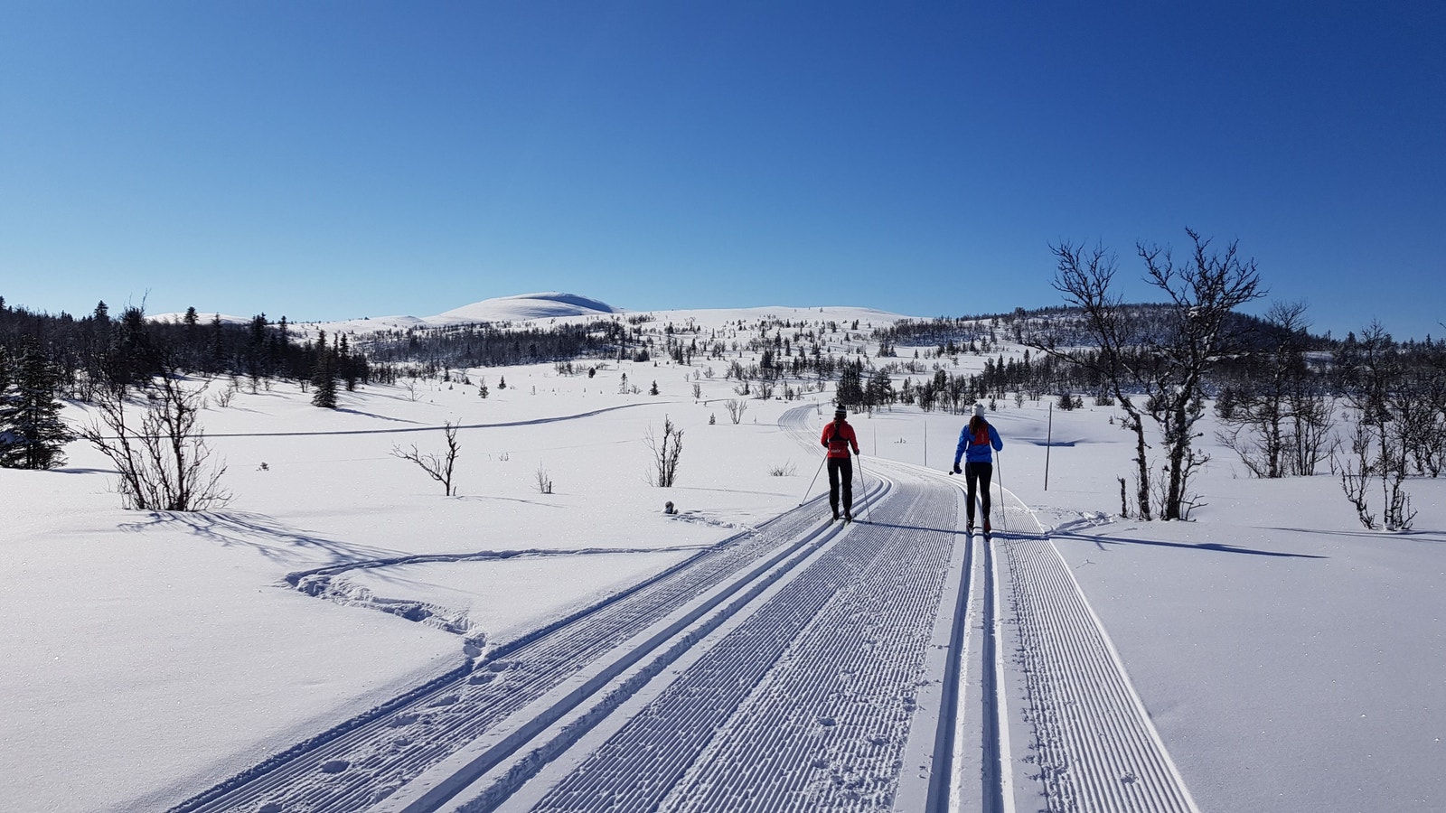 Turområdet Galleribilde