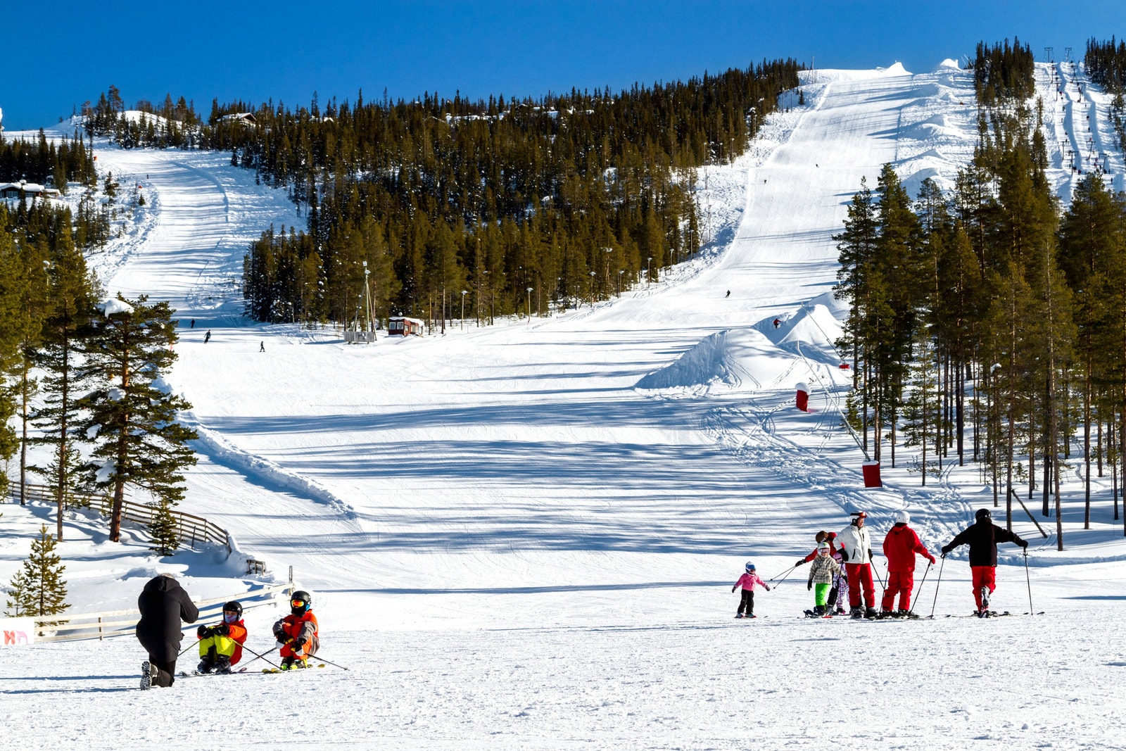 Nesfjellet Alpin Galleribilde