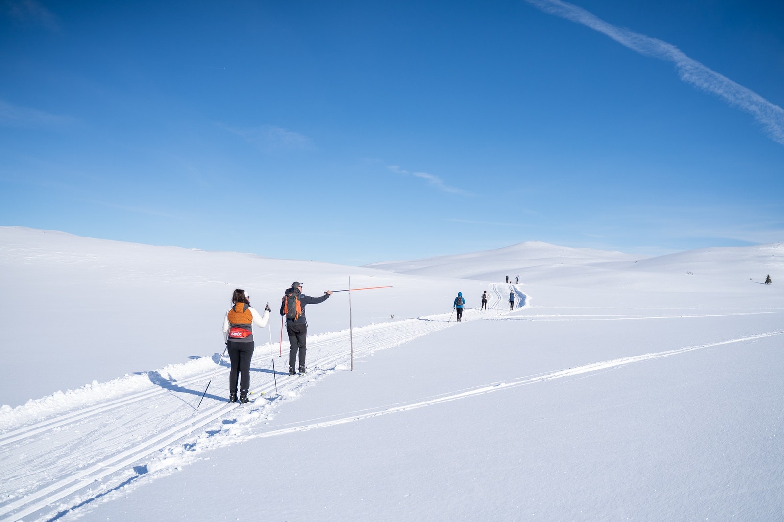 Turområdet Galleribilde