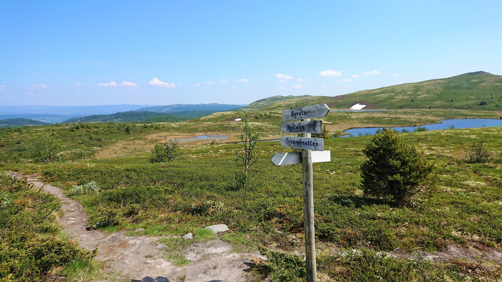 Turområdet sommerstid Galleribilde