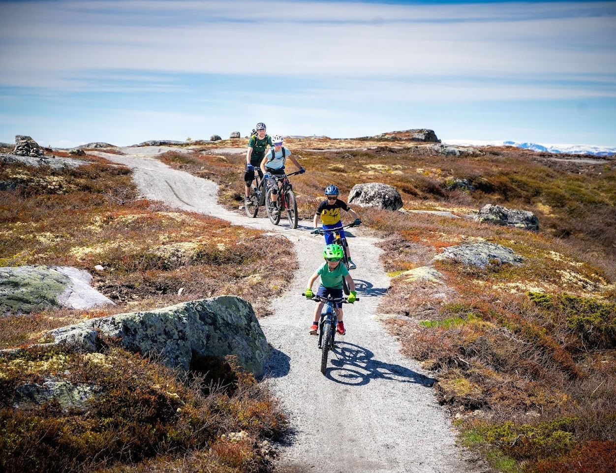 Hallingspranget Galleribilde