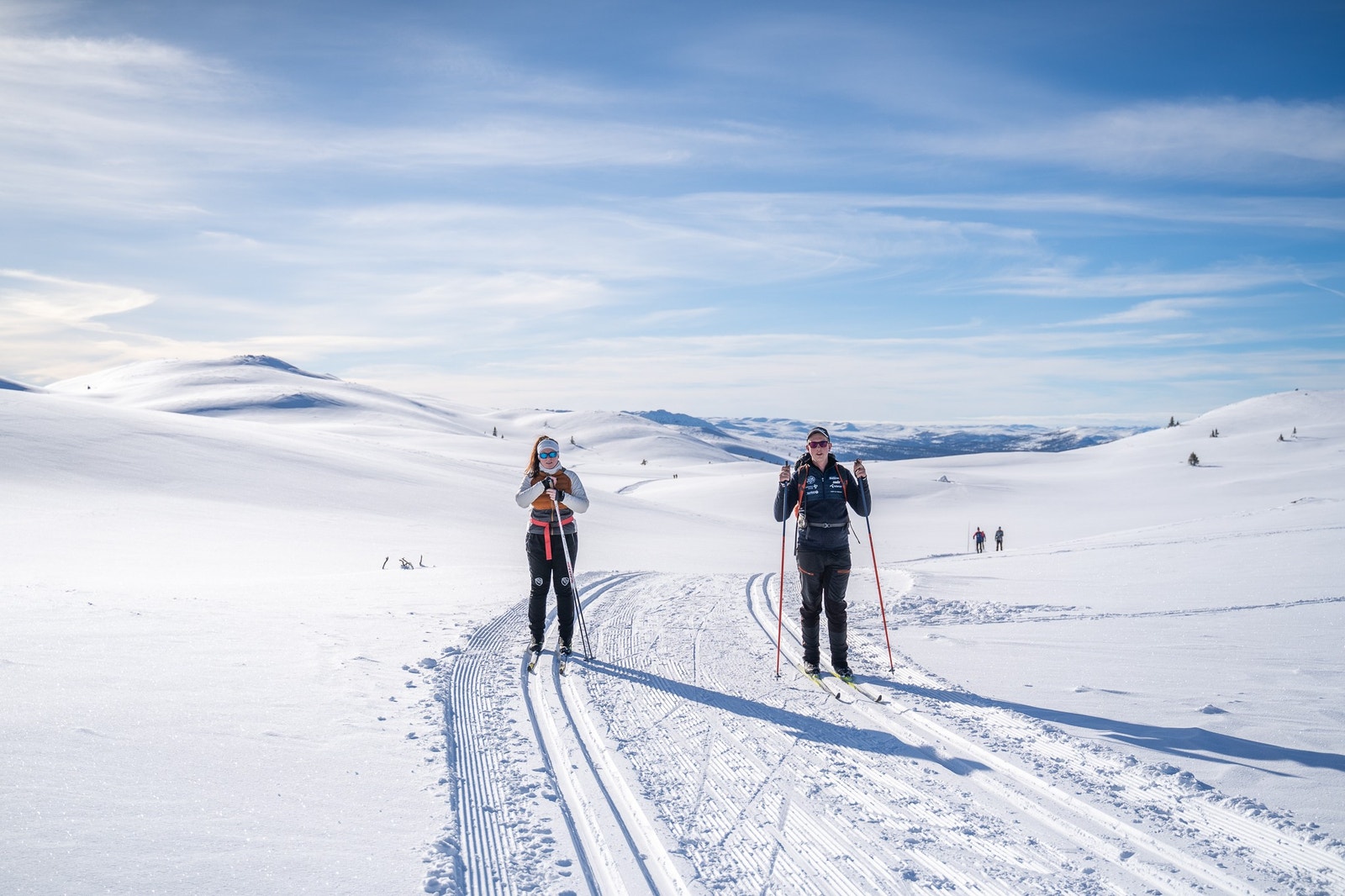 Turområdet Galleribilde