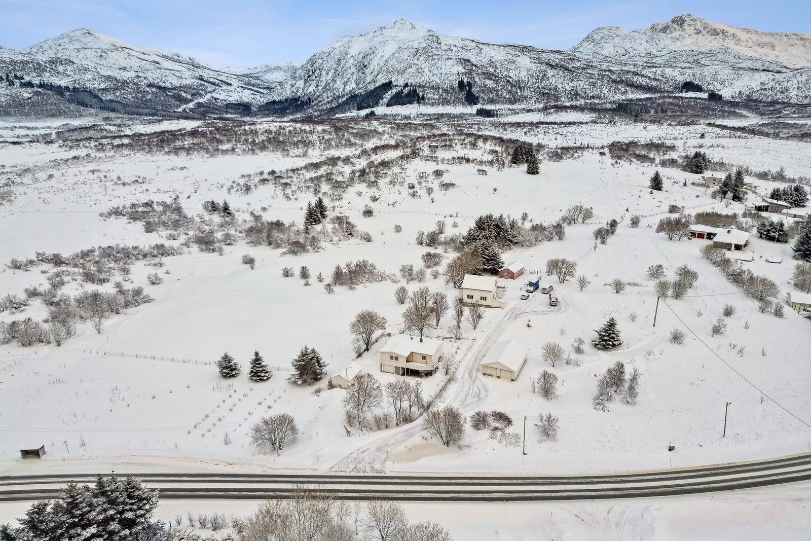 Område. Galleribilde