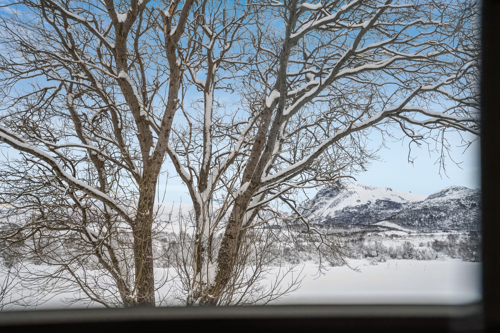 Fin og landlig utsikt fra soveromsvinduet. Galleribilde