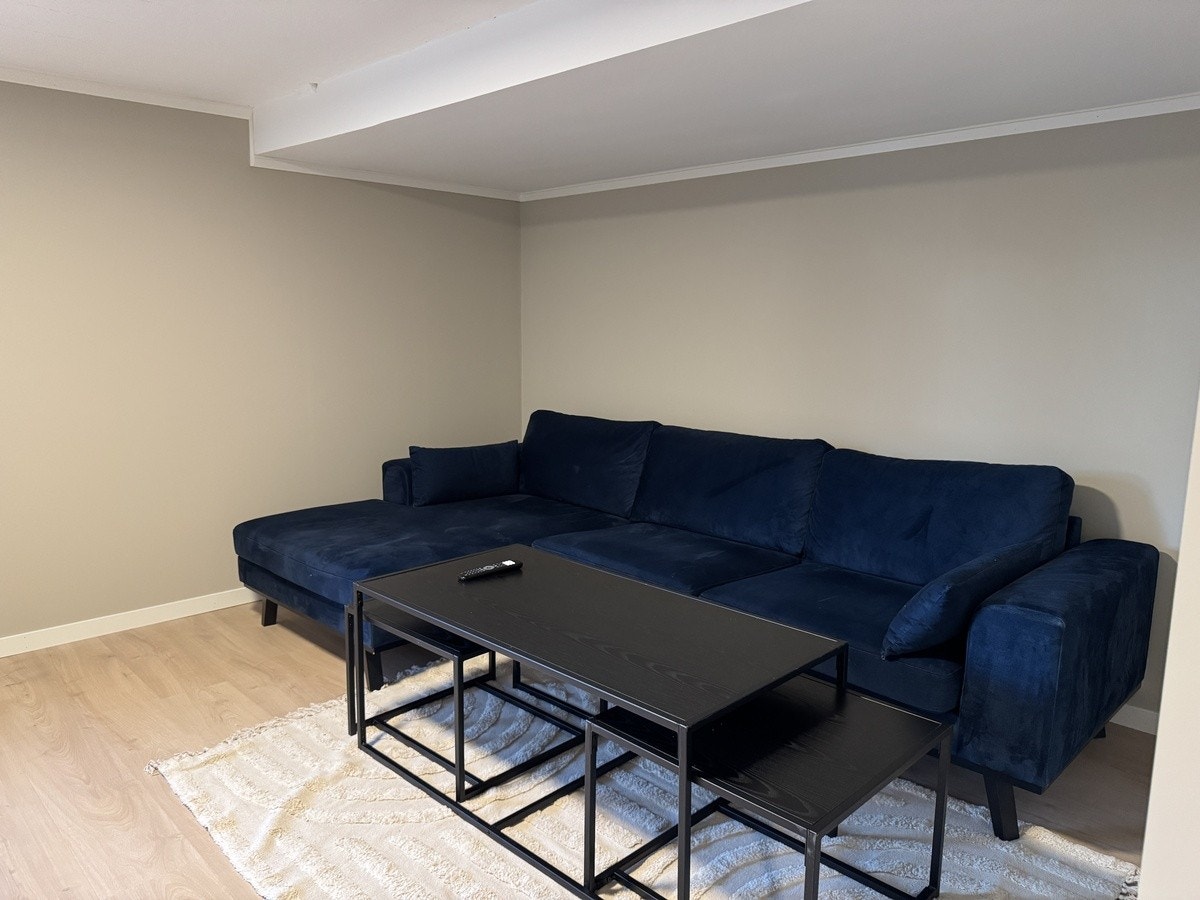 Felles stue Galleribilde