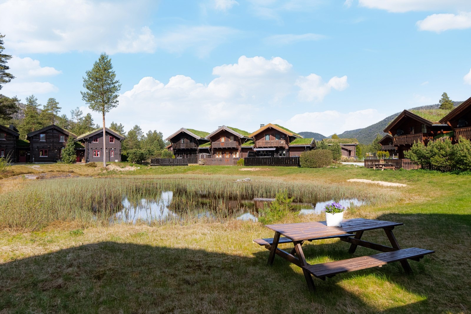 Vrådal Panorama er et populært feriested, med aktivitetstilbud sommer som vinter. Her er det også gode muligheter for utleie! Galleribilde