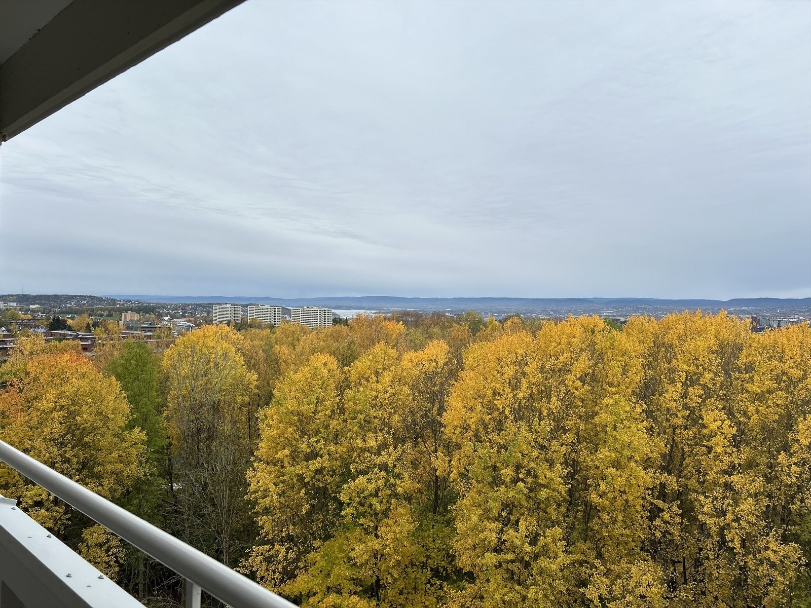 Bilde tatt av selger Galleribilde